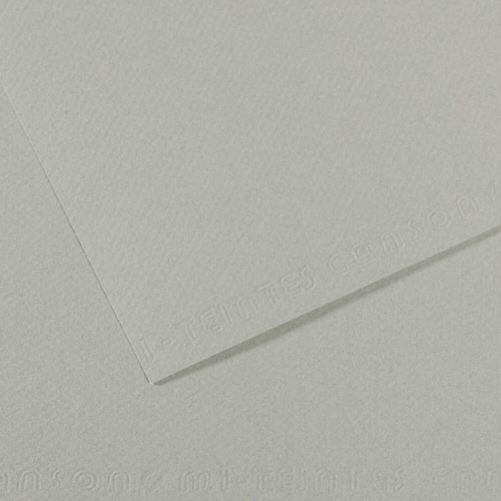 Canson Fon Kartonu (Dokulu) Mı-Teıntes Sh Canmt 50x65 160 GR Grey 354
