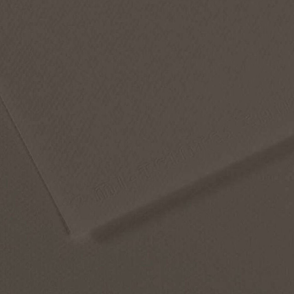 Canson Fon Kartonu (Dokulu) Mı-Teıntes Sh Canmt 50x65 160 GR Grey 184