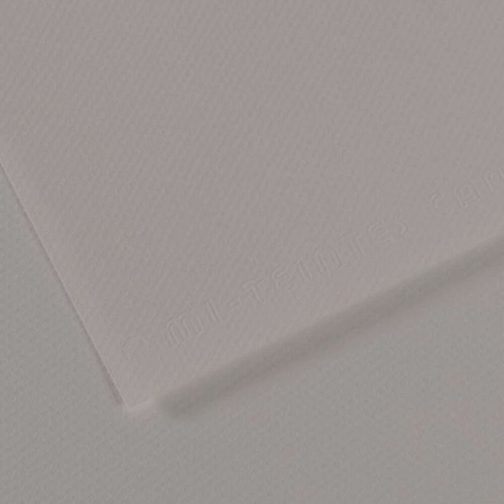 Canson Fon Kartonu (Dokulu) Mı-Teıntes Sh Canmt 50x65 160 GR Grey 186