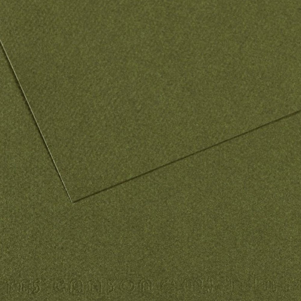 Canson Fon Kartonu (Dokulu) Mı-Teıntes Sh Canmt 50x65 160 GR Grn 448