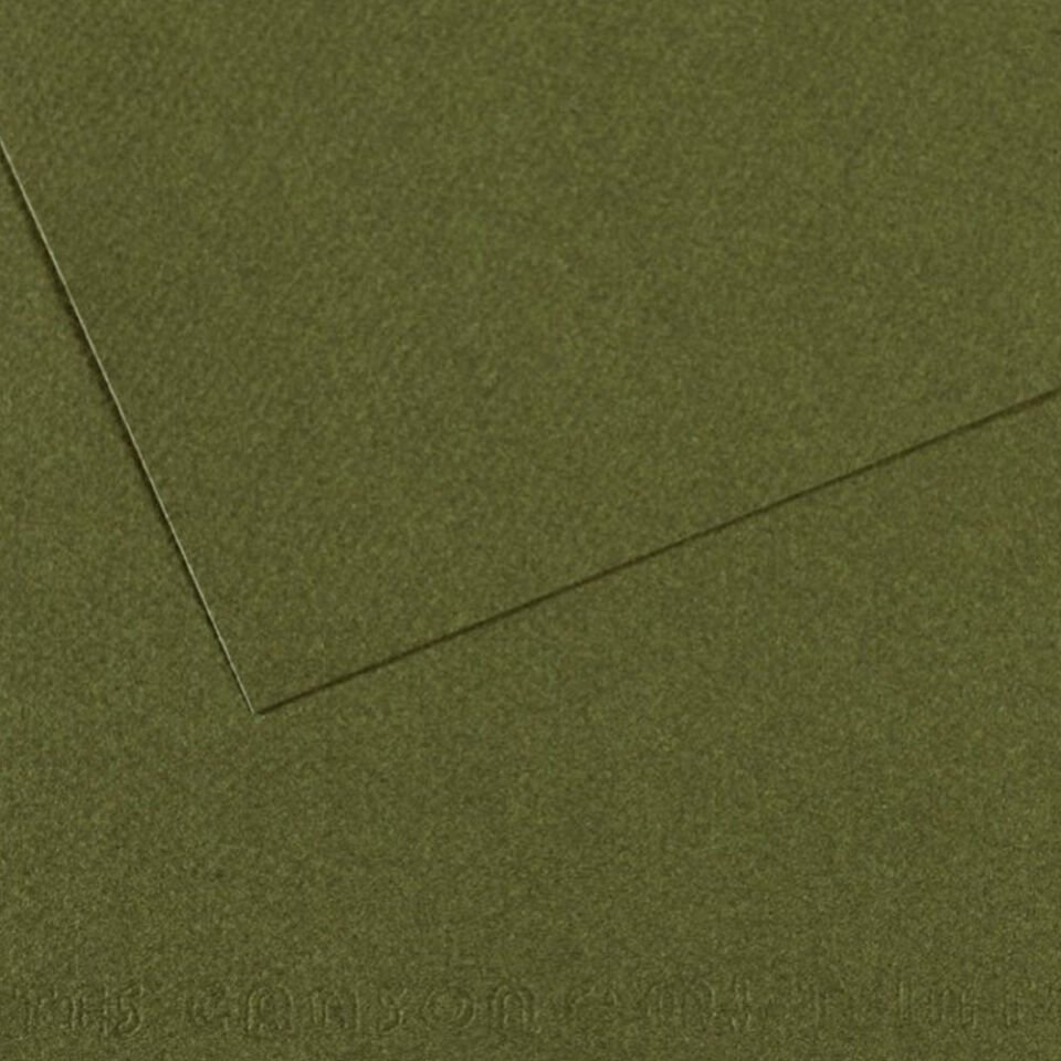 Canson Fon Kartonu (Dokulu) Mı-Teıntes Sh Canmt 50x65 160 GR Grn 448