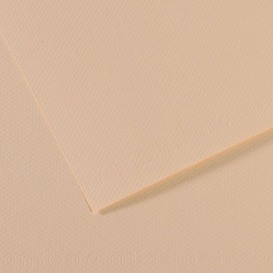 Canson Fon Kartonu (Dokulu) Mı-Teıntes 10 Lu  50x65 160 GR 112 Ylw 31032S093