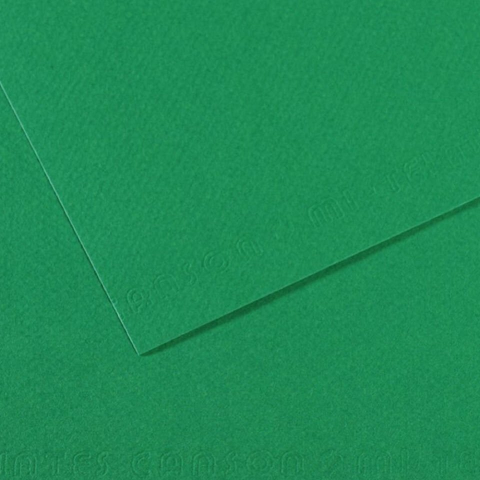 Canson Fon Kartonu (Dokulu) Mı-Teıntes 50x65 160 GR Ylw 400