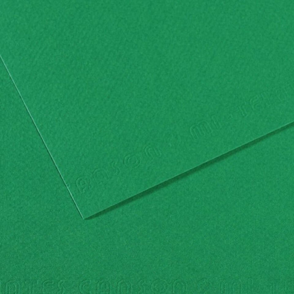 Canson Fon Kartonu (Dokulu) Mı-Teıntes Sh Canmt 50x65 160 GR Grn 575 31032S114