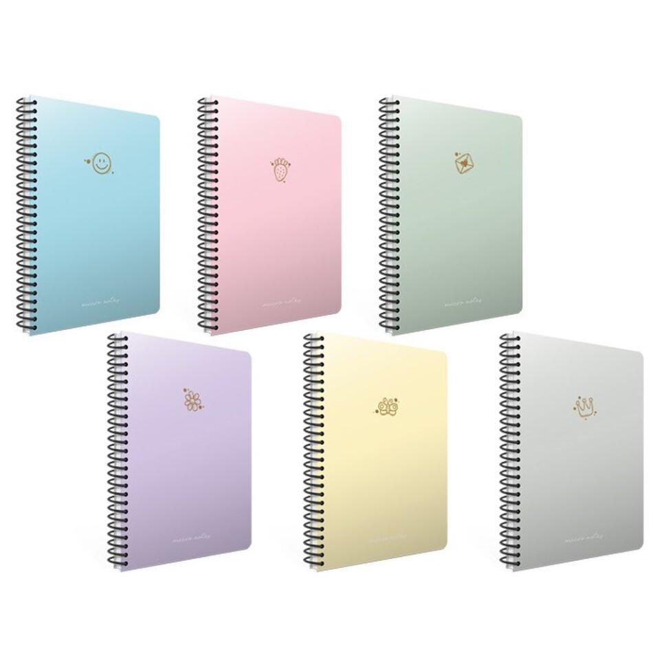 Gıpta Mıcro Notes Spiralli Sert.Kapak Defter 17x24 100 YP Kareli