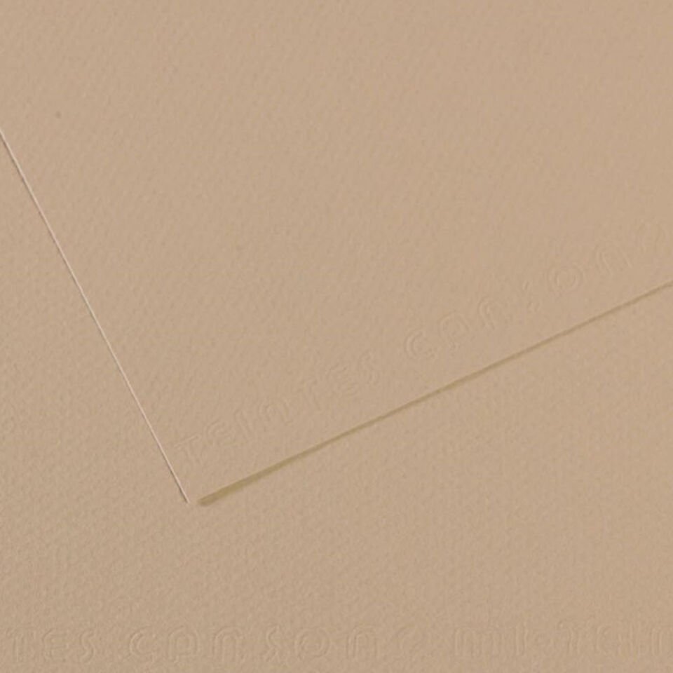 Canson Fon Kartonu (Dokulu) Mı-Teıntes 50x65 160 GR GREY 343