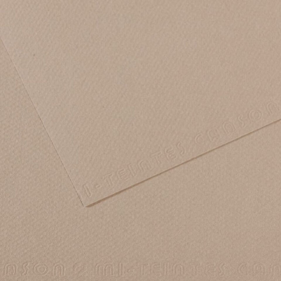 Canson Fon Kartonu (Dokulu) Mı-Teıntes Sh Canmt 50x65 160 GR Grey 122