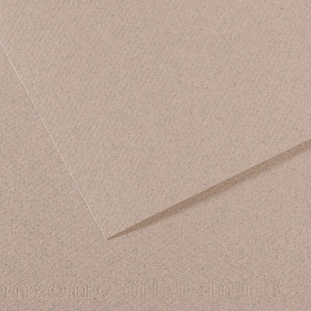 Canson Fon Kartonu (Dokulu) Mı-Teıntes Sh Canmt 50x65 160 GR Grey 426