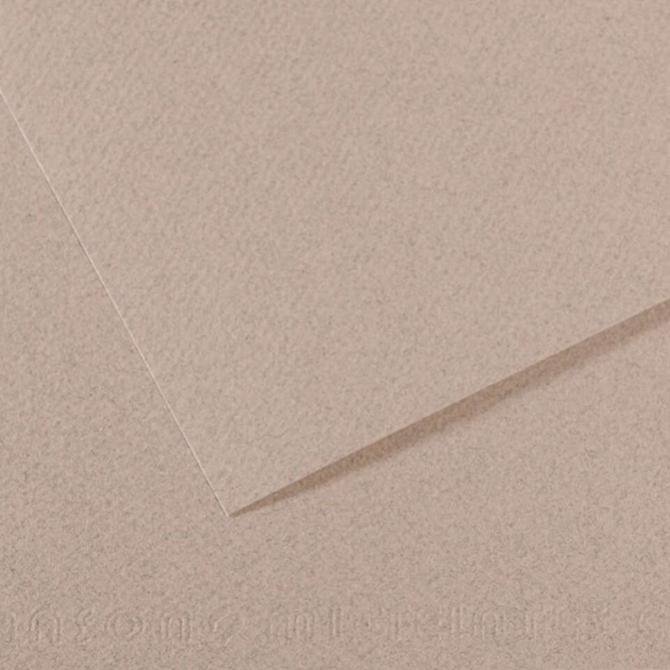 Canson Fon Kartonu (Dokulu) Mı-Teıntes Sh Canmt 50x65 160 GR Grey 426