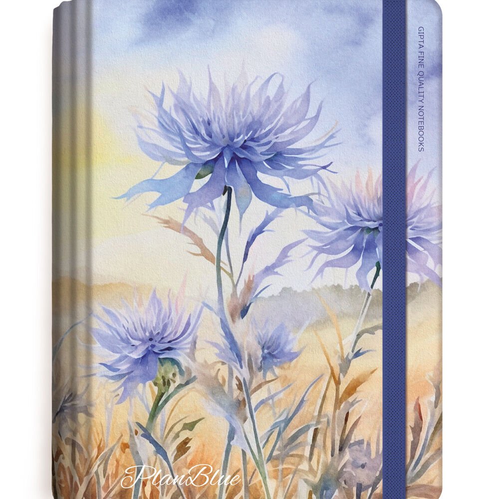 Gıpta Plan Blue Spiralli Sert Kapak Defter 13x21 120yp. Çizgili+Kareli