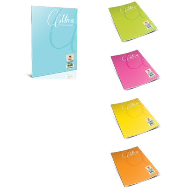 Gıpta Defter (Dikişli ) Mica Plastik Kapak Kareli 60 YP A5 1712