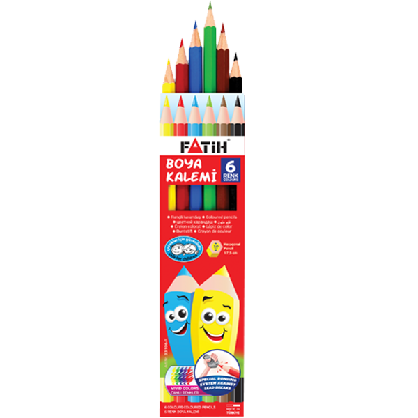 Fatih Kuru Boya Karton Kutu Tam Boy 6 Renk 33106