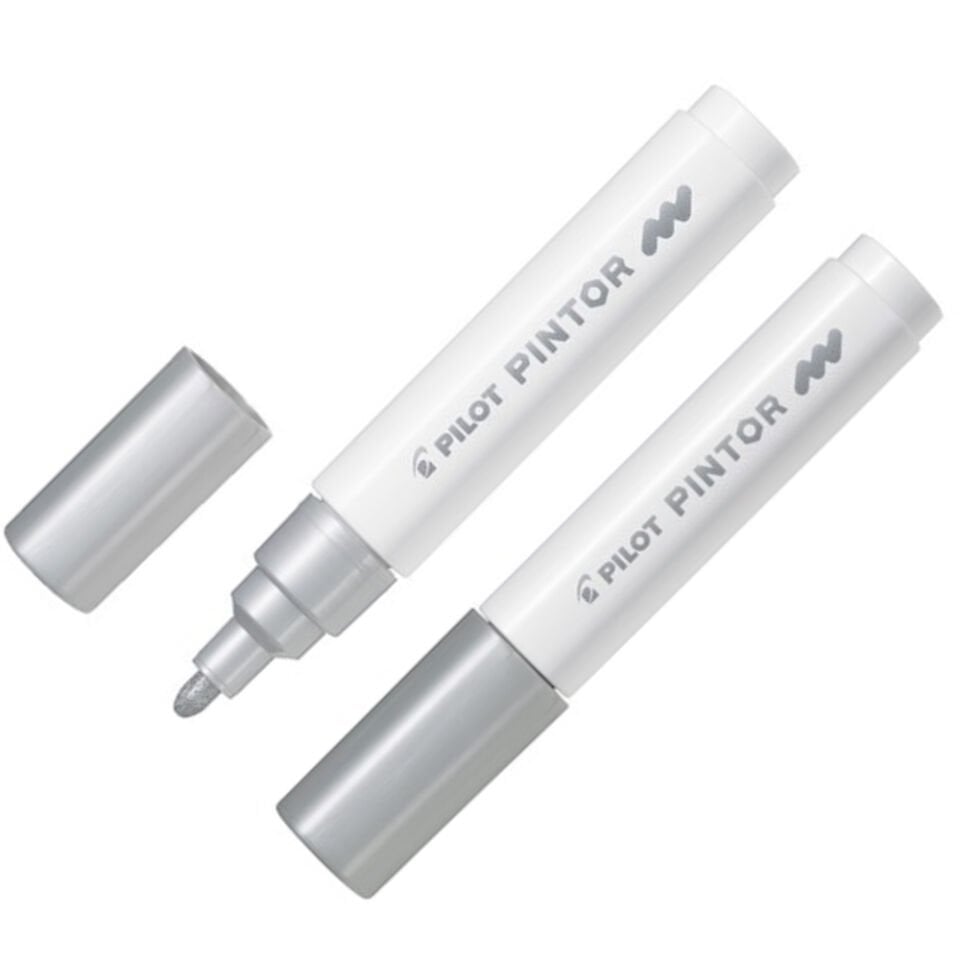 Pilot Pintor (M) Gümüş Sw-pt-m-s