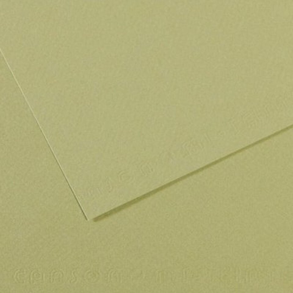 Canson Fon Kartonu (Dokulu) Mı-Teıntes 25 Lİ 50x65 160 GR 480 Almond Green 200321164