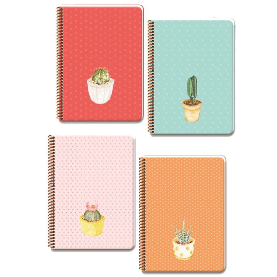 Keskin Color Spriralli S Kap Saguaro Defter 20x28 100 YP Kareli